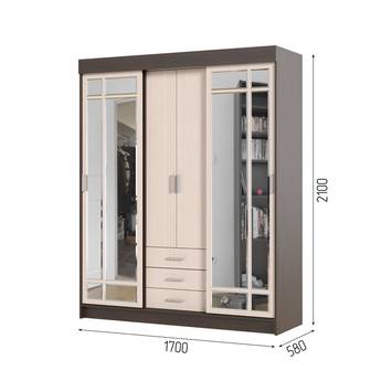 Шкаф-купе Лидер 1К 170 см