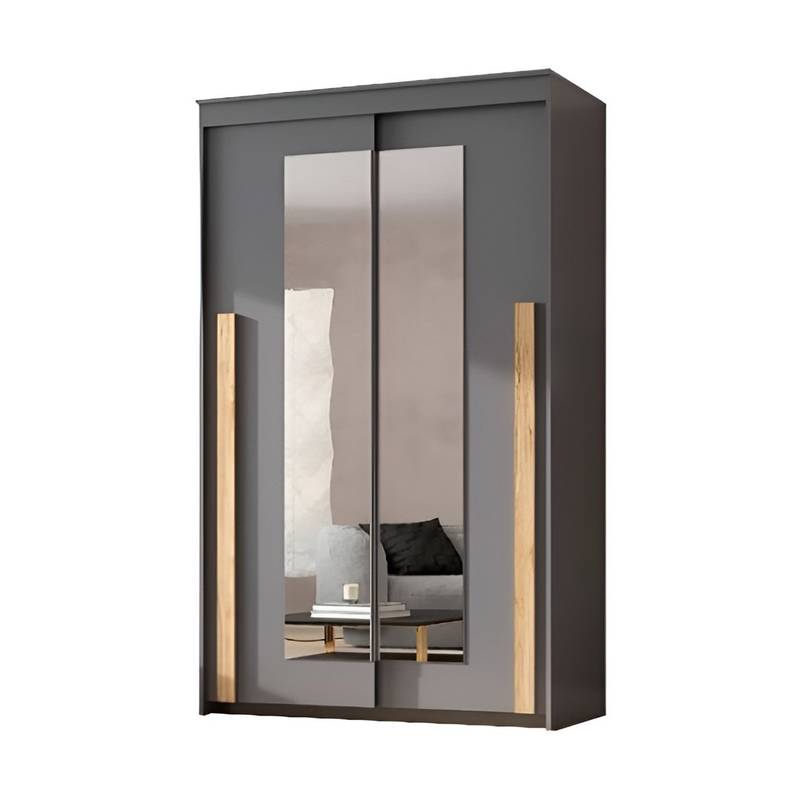 Шкаф-купе Ванкувер-2 120 см