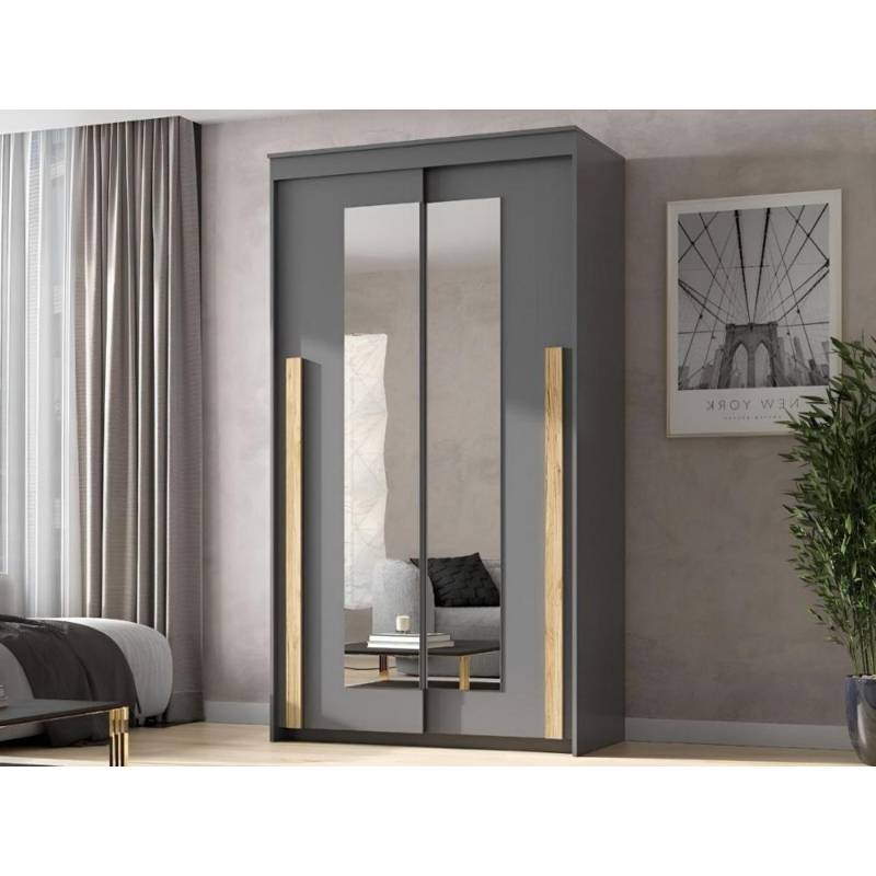 Шкаф-купе Ванкувер-2 120 см