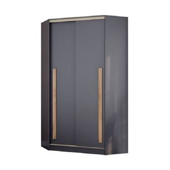 Шкаф-купе Дублин-1 120 см