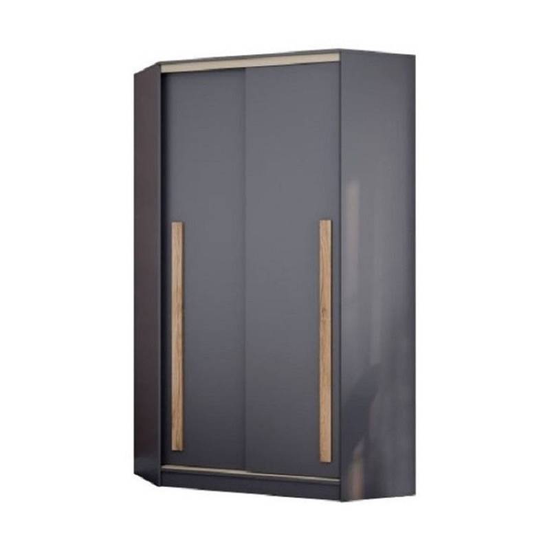 Шкаф-купе Дублин-1 120 см