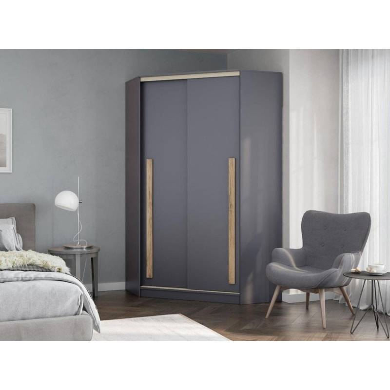 Шкаф-купе Дублин-1 120 см